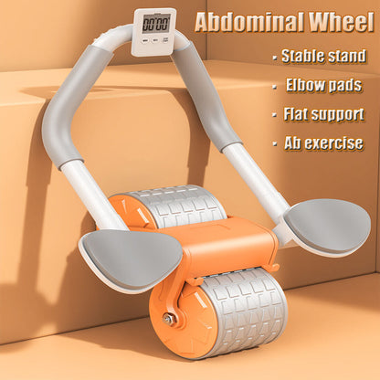 2 wheel ab roller