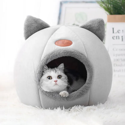 Sleep comfort In winter for pet