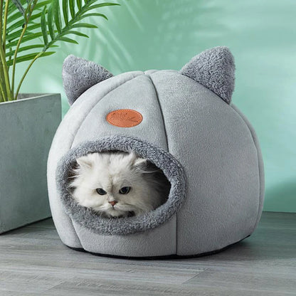 Sleep comfort In winter for pet