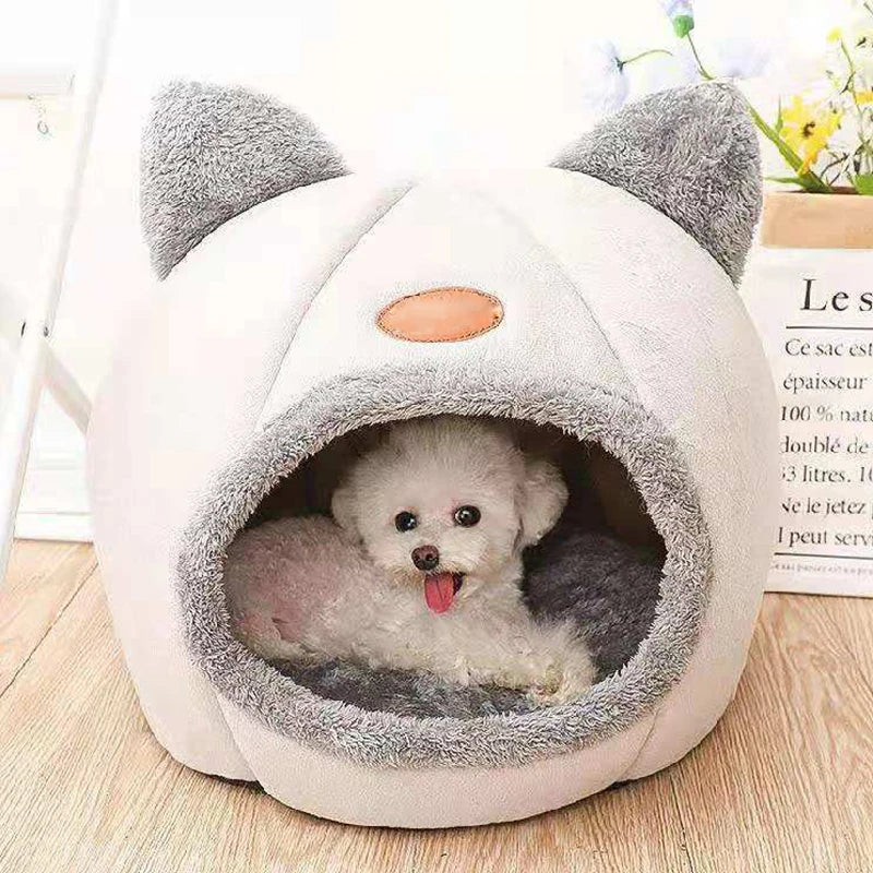 Sleep comfort In winter for pet