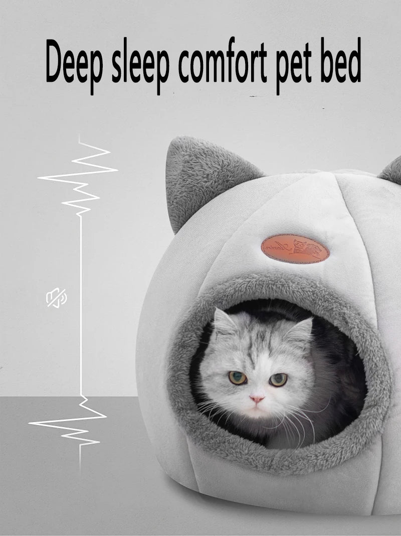 Sleep comfort In winter for pet